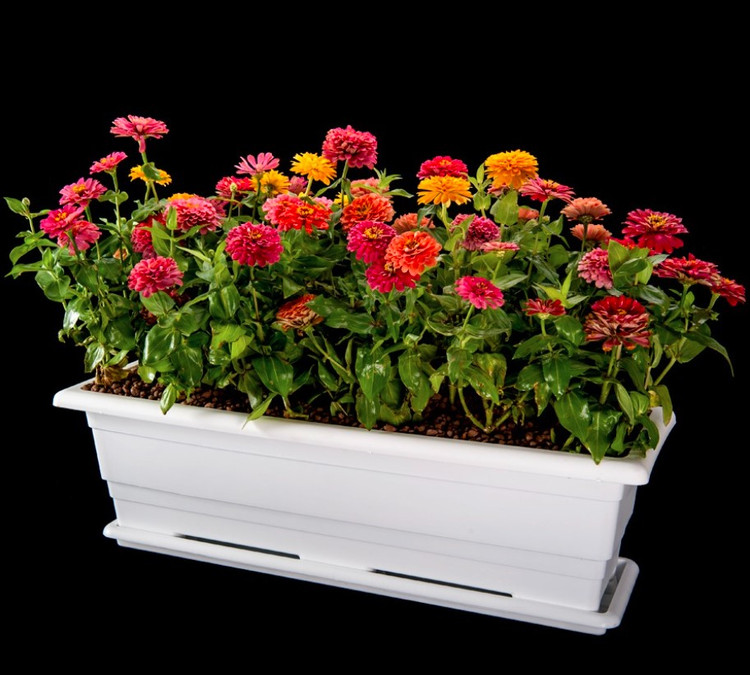 Rectangular plastic pot