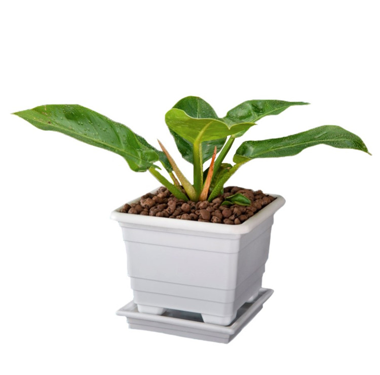 گلدان پلاستیکی مربعی